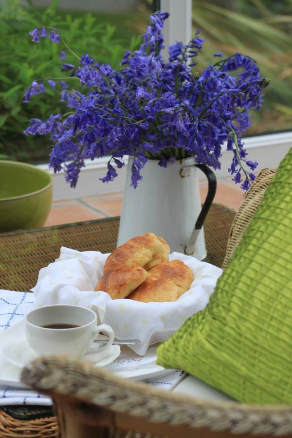 Bed and Breakfast Ty Llwyd Treffynnon Экстерьер фото